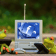 pagina-facebook
