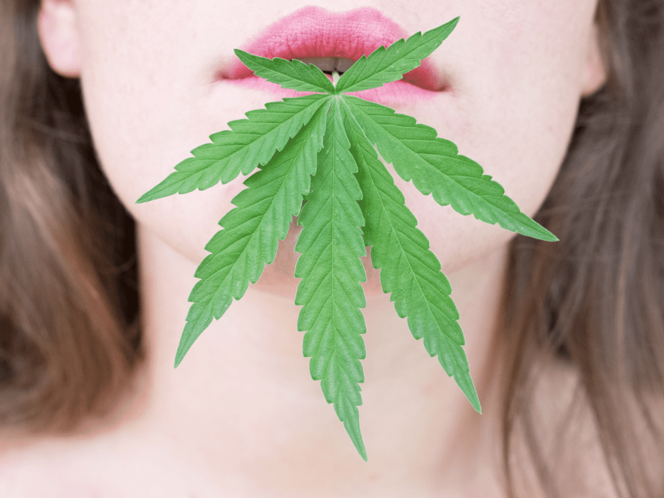 startup-cbd